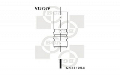 BGA v157579 -  Впускной клапан