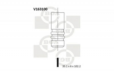 BGA v163100 -  Впускной клапан