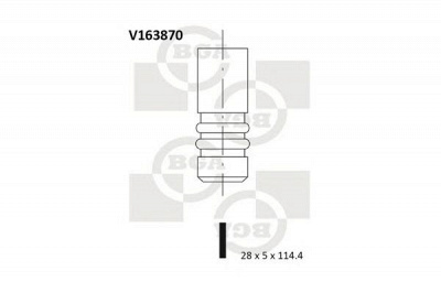 BGA v163870 -  Впускной клапан