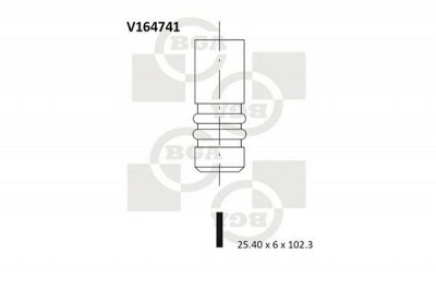 BGA v164741 -  Выпускной клапан