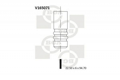 BGA v165071 -  Выпускной клапан