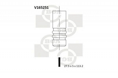 BGA v165251 -  Выпускной клапан