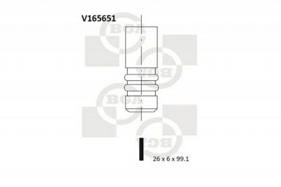 BGA v165651 -  Выпускной клапан