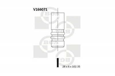 BGA v166071 -  Выпускной клапан