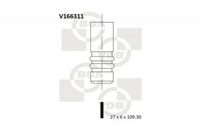 BGA v166311 -  Выпускной клапан