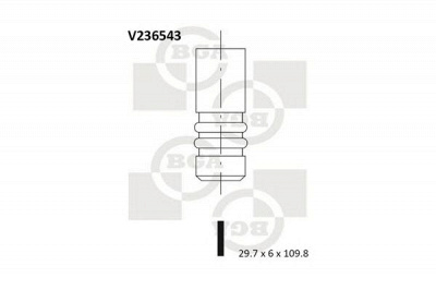 BGA v236543 - Выпускной клапан