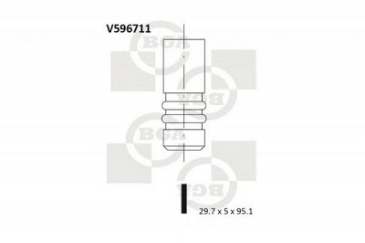 BGA v596711 -  Впускной клапан