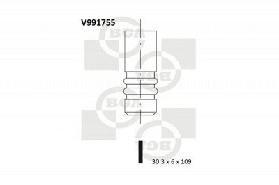 BGA v991755 -  Впускной клапан