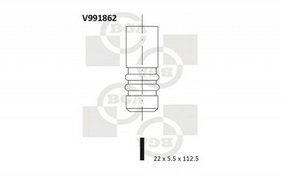 BGA v991862 -  Выпускной клапан