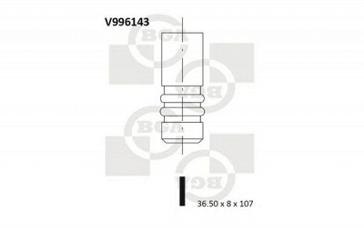 BGA v996143 -  Впускной клапан