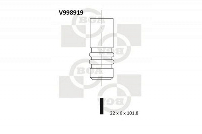 BGA v998919 -  Выпускной клапан
