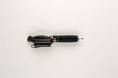 BILSTEIN 26220055 -  Амортизатор