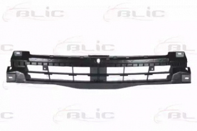 BLIC 5502005089942p -  Носитель, буфер