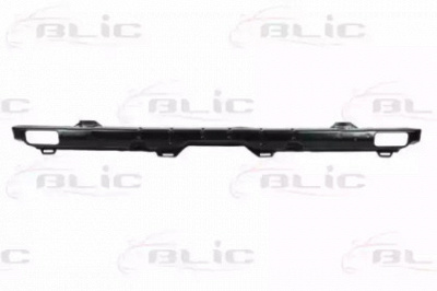 BLIC 5502005089981p -  Носитель, буфер