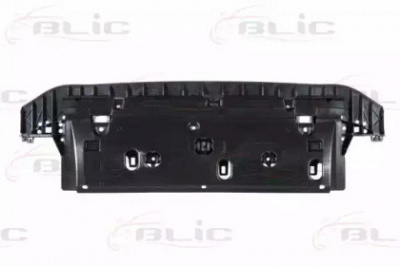 BLIC 5502005516943p -  