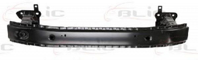 BLIC 5502009009941p -  Носитель, буфер