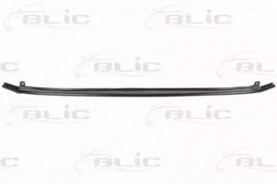 BLIC 5502009549941p -  Носитель, буфер