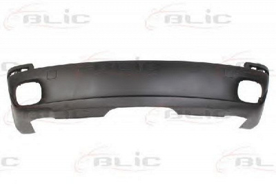 BLIC 5506000096950p -  Буфер