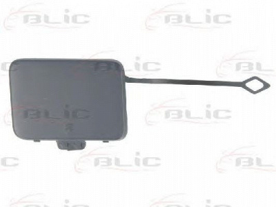 BLIC 5513003518971p -