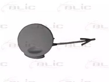 BLIC 5513005079970q -