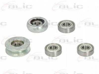 BLIC 6003000004p -