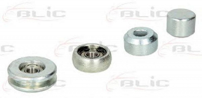 BLIC 6003000005p -  