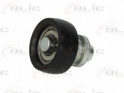 BLIC 6003000007p -