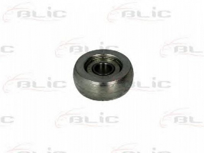 BLIC 6003000008p -
