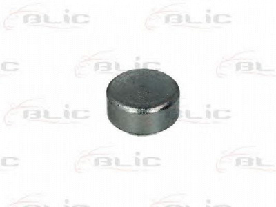 BLIC 6003000011p -