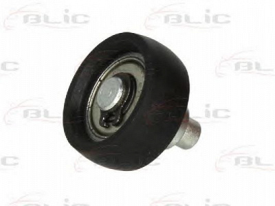 BLIC 6003000012p -