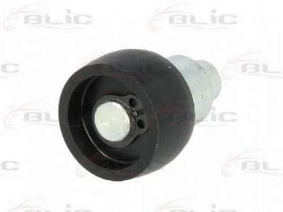 BLIC 6003000013p -