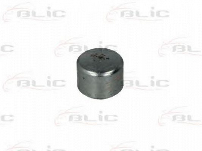 BLIC 6003000014p -