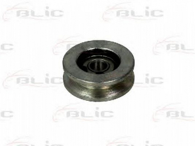 BLIC 6003000016p -