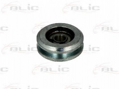 BLIC 6003000020p -