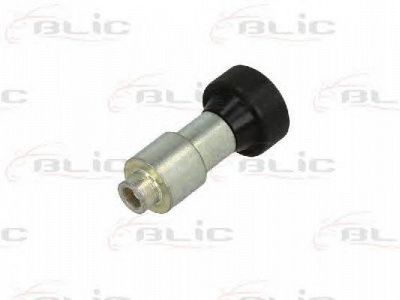 BLIC 6003000022p -
