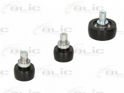 BLIC 6003000027p -