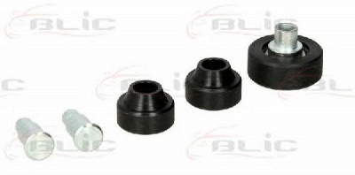 BLIC 6003000028p -  