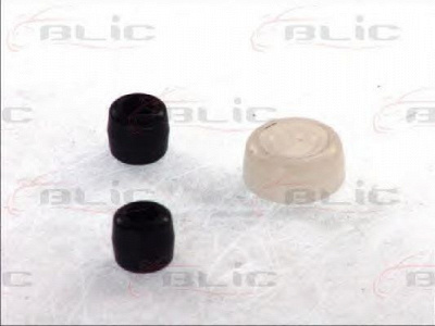 BLIC 6003000048p -