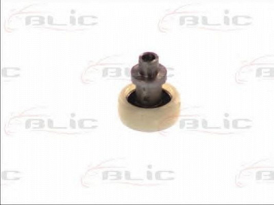 BLIC 6003000058p -