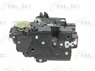 BLIC 601001020433p -