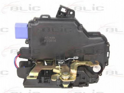 BLIC 601001035421p -