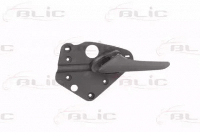 BLIC 601002037409p -