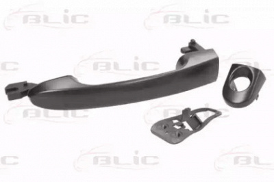 BLIC 601003048401p -