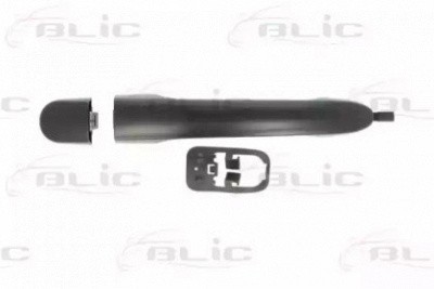 BLIC 601003048402p -