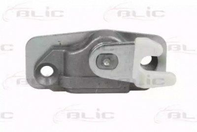 BLIC 601007006423p -  