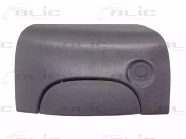 BLIC 601009029417pp -  