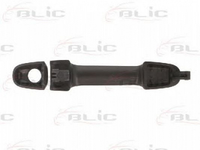 BLIC 601020045401p -  