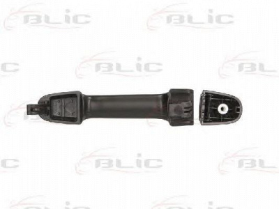 BLIC 601020045402p -  
