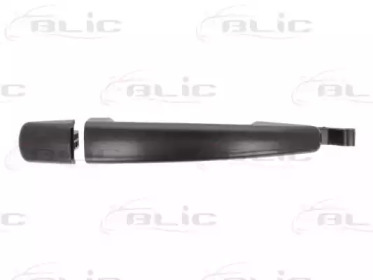 BLIC 601021034402p -