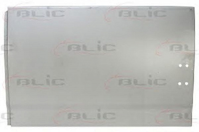 BLIC 6015002092153p -